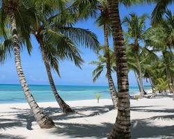PUNTA CANA desde ROSARIO